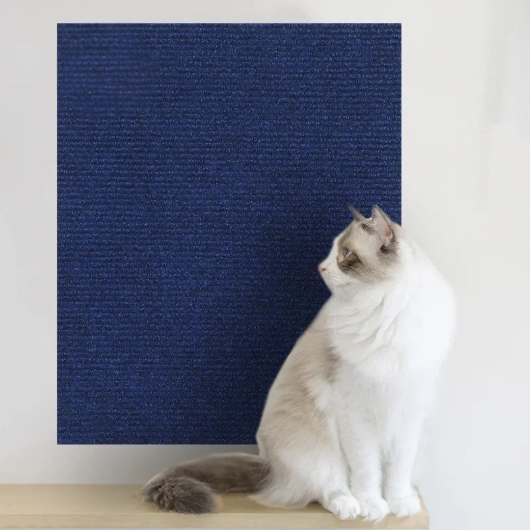Anti-Scratch Cat Mat – Sofa & Furniture Protector