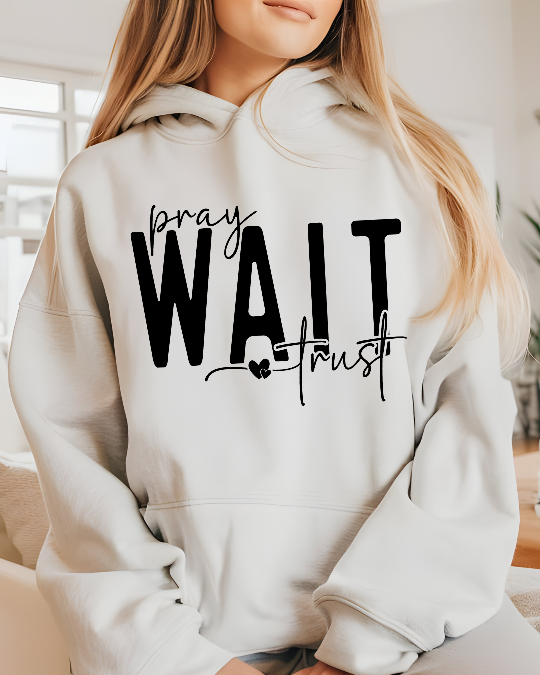 Faith & Trust Hoodie
