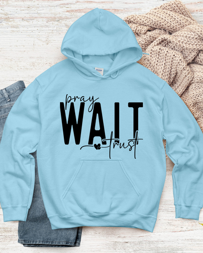 Faith & Trust Hoodie