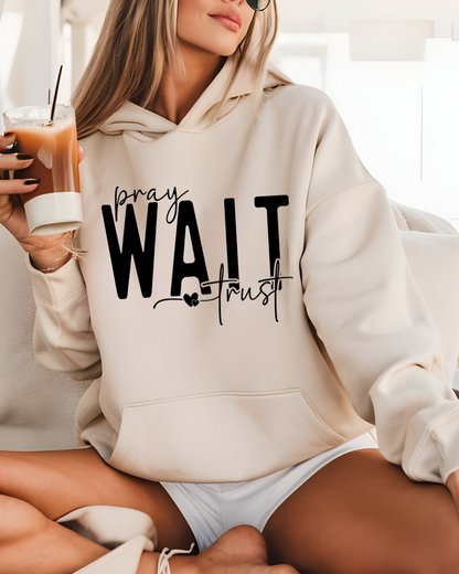 Faith & Trust Hoodie